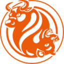FXOpen logo